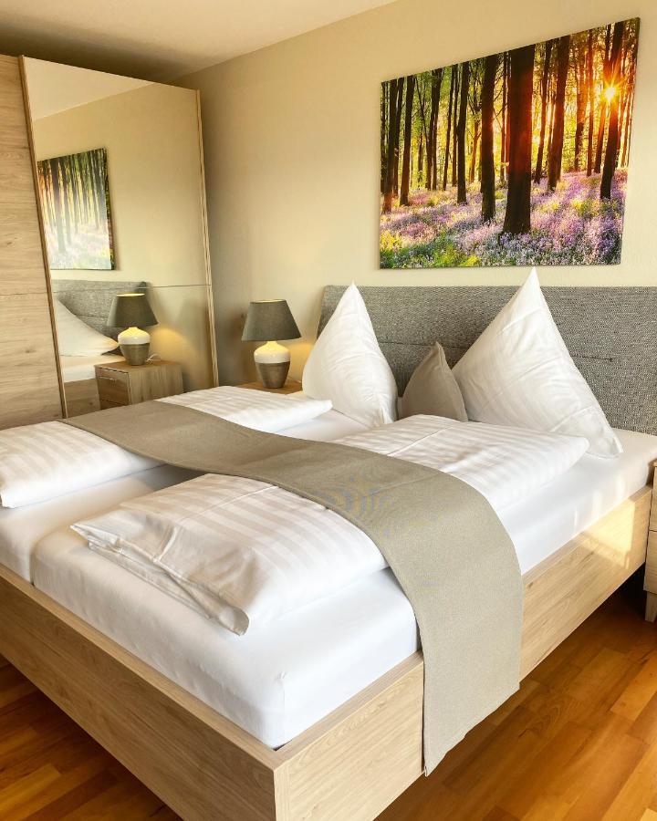 זיפלינגן Hotel Landhaus Sternen מראה חיצוני תמונה