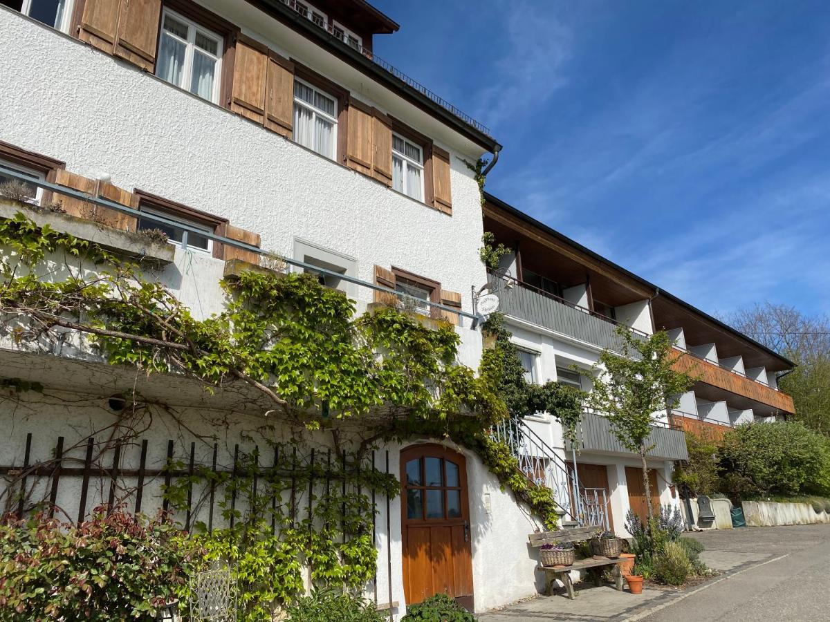 זיפלינגן Hotel Landhaus Sternen מראה חיצוני תמונה
